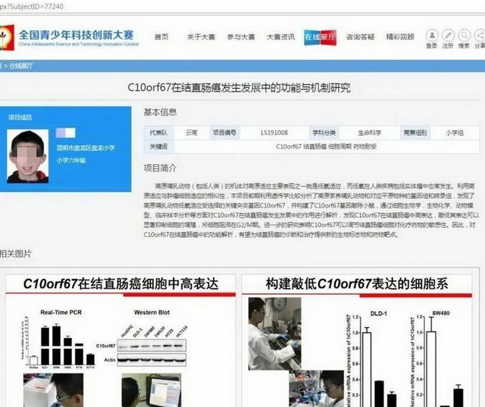 小学生研究癌症获奖，全国大赛组委会：经复核决定撤销