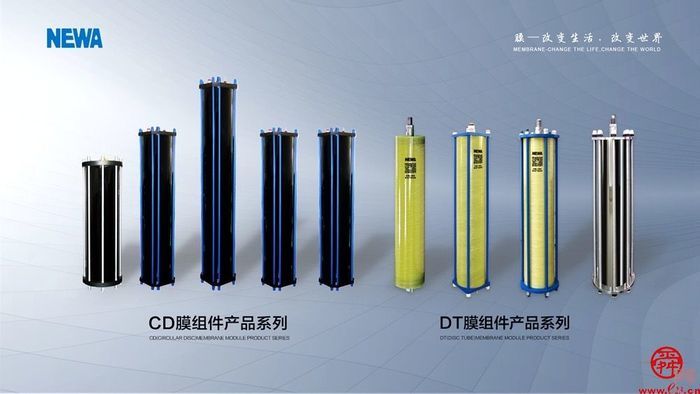 绿动齐鲁碳路未来 