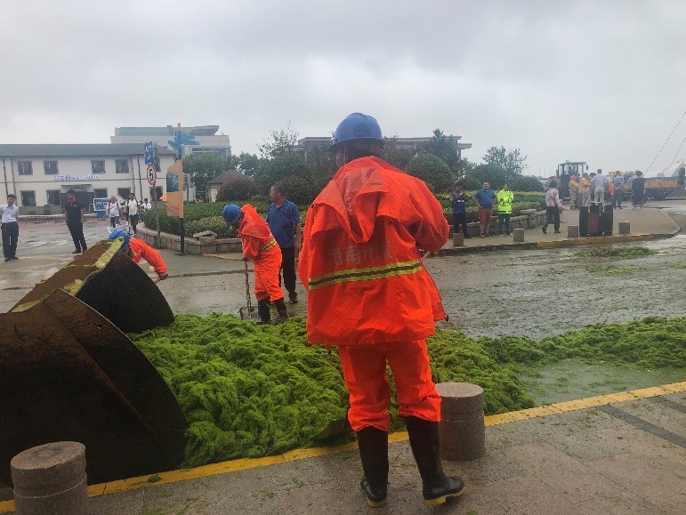 “利奇马”登陆次日：青岛沿海景区依旧关闭 环卫部门全力清理路面