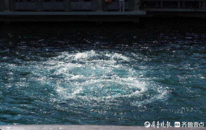 济南泉域水位大涨 单日流量高达5.24万吨