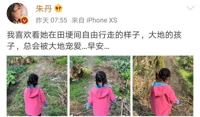 朱丹晒女儿背影照 侧颜呆萌可爱 菜地拔萝卜画风可爱