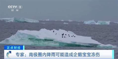 南极中山站出现降雨 会带来哪些影响?专家分析