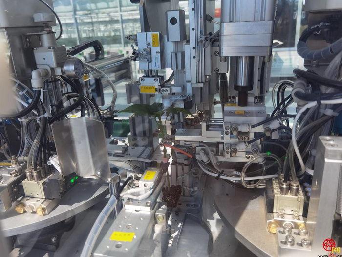 市政协“商量”为“助推济南打造北方种业之都”建言献策