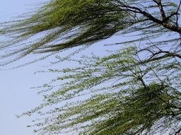 雨去风来！山东解除雷电黄色预警 发布大风蓝色预警