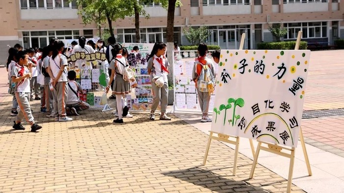 一粒种子的力量有多大?济南大学附属学校(舜文)“六一”悦创节给你答案