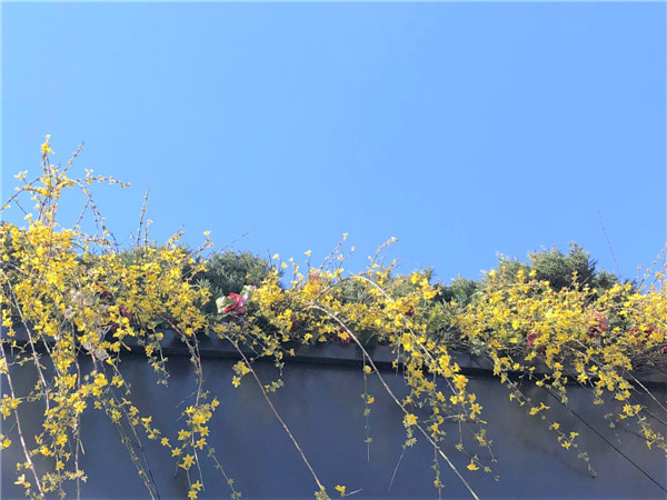 倒计时：济南明日大范围雨雪又要来“报到”！