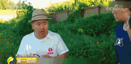 中国脱发人群超2.5亿 植发能否挽救“头顶大事”？