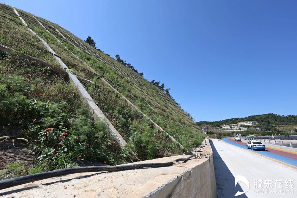 漫步“海滨慢道”，拥抱“生态长岛”