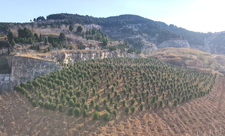 济南破损山体治理初显成效