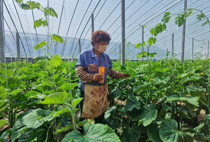 【春耕进行时】回看舜网记者带您走过的这些地方