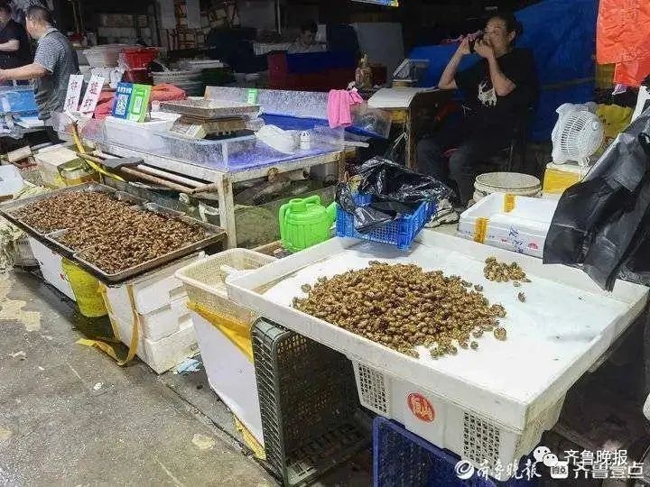 知了猴110元一斤，今年涨10-15元！网友：摸的人比知了猴还多