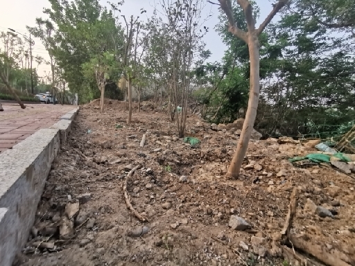 【啄木鸟在行动】市中区二环东路搬倒井路段绿化带内渣土堆积