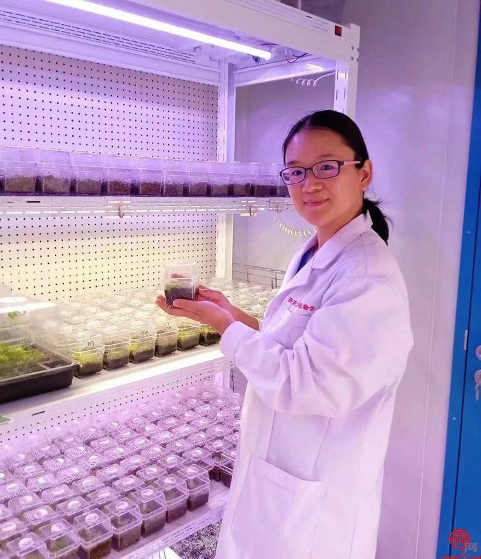 她的研究入选“中国科学十大进展”