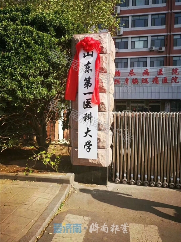 山东省医学科学院正式挂牌“山东第一医科大学”