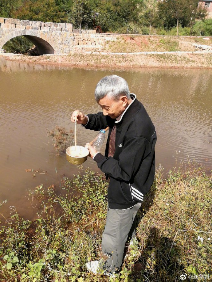致敬！为了防治疟疾86岁老人研究蚊子70年