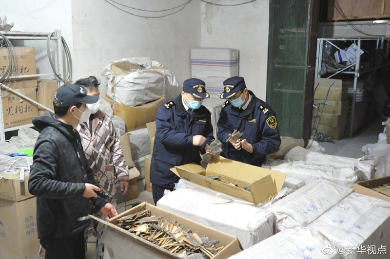 雷霆出击！海关破获国家二级保护野生动物制品走私案