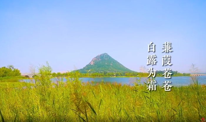 好客山东 好品山东｜露水不白，为什么要叫“白露”？