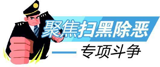 不凑数不拔高不降格 山东各地依法精准打击黑恶势力