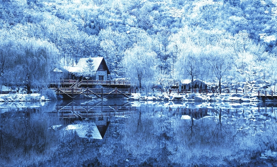 强冷空气昨驾到 雾凇美景满南山