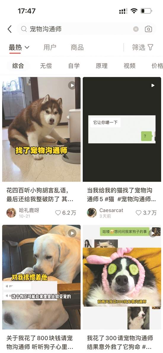 通过照片就能和宠物对话？“宠物沟通师”的读心术有点玄