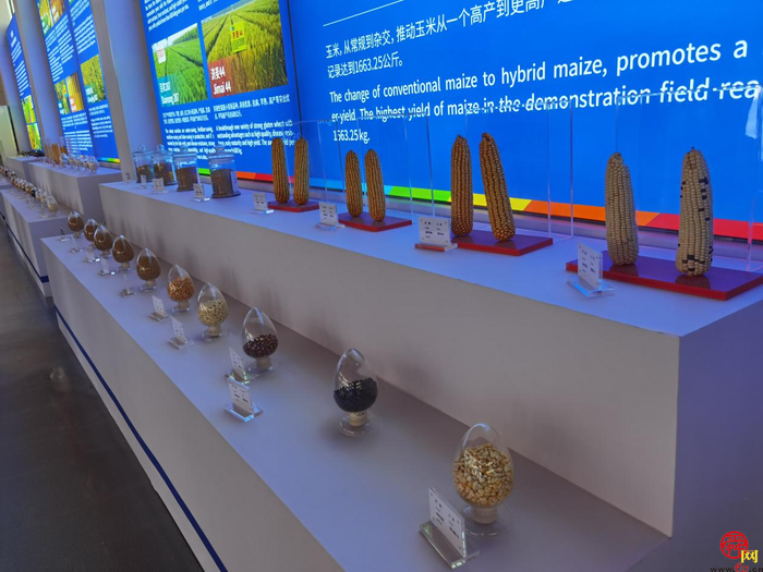 市政协“商量”为“助推济南打造北方种业之都”建言献策