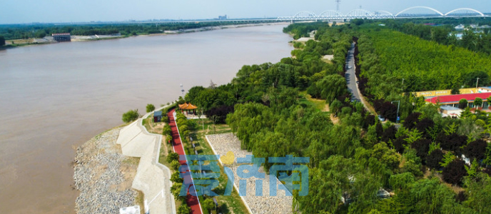 浪涛拍岸绿树环绕 黄河这段堤防变身小公园