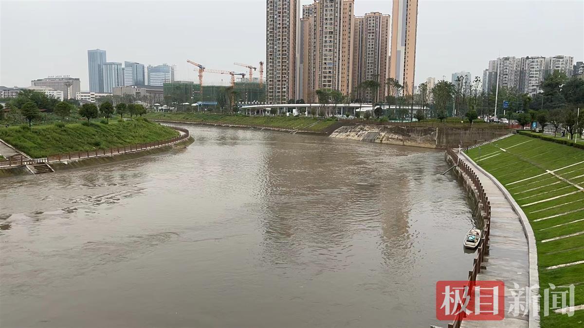 少年疑被误导下河救狗溺亡：系独子，律师称其行为构成见义勇为