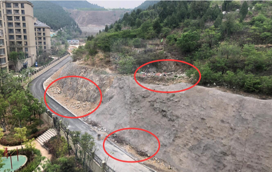 【啄木鸟在行动】毁树堆垃圾  何人在“啃山”？