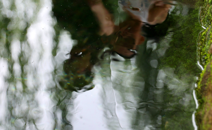泉水奇观，难得一见！济南金线泉“金线奇观”再现