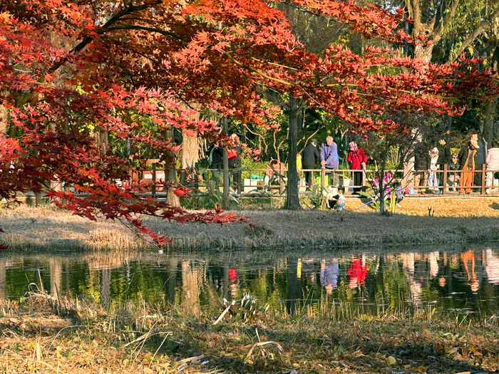 阳光普照气温升 户外休闲游园乐享周末时光