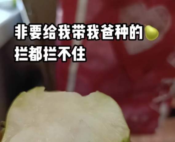 从县城出国看女儿，这对不懂英语的山东父母看哭很多人