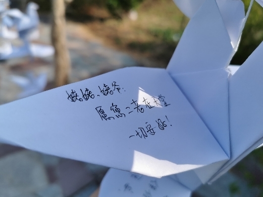 别样清明“感怀依然” 济南玉函山安息园举行共祭仪式