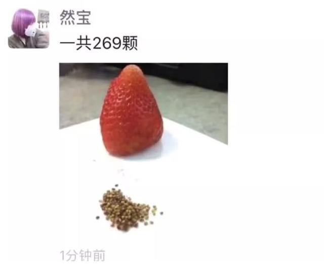 春节不能出门把全国网友憋成啥样？给猫讲函数，为橘子接生