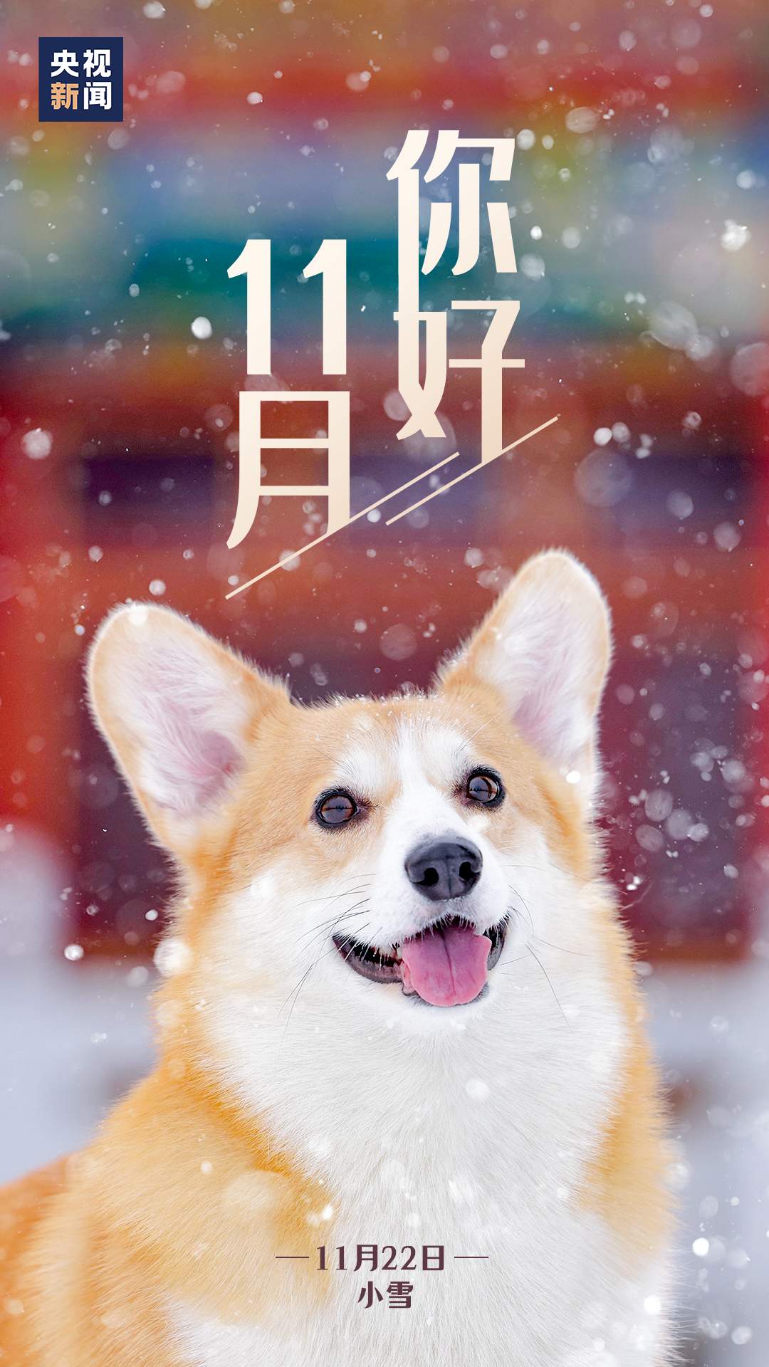 11月，你好！