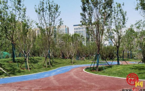 市民多了休闲好去处济南又有5个公园建成开放