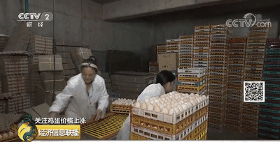 1筐鸡蛋半个月涨20元！ 蛋价不淡定了 蛋糕、甜点都跟涨