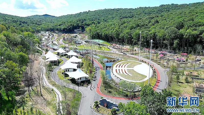 神州答卷丨松花江畔风正劲——黑龙江奋力开创高质量发展新局面