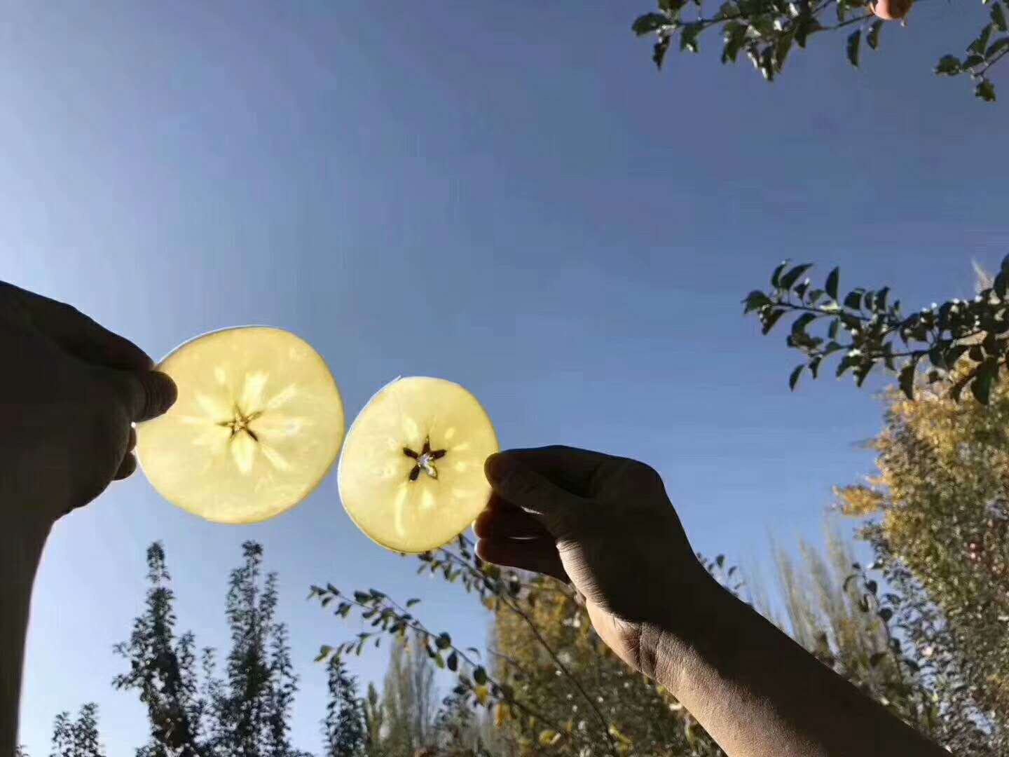 ȪзحɽһƷƻ԰