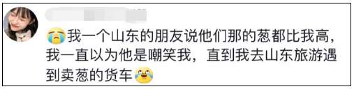 “山东的青蛙…真的好高啊”！今天的热搜过于搞笑了