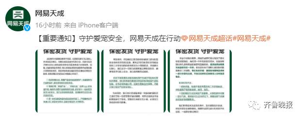 网购猫狗粮发现针孔质疑投毒 多家宠物店铺相继宣布