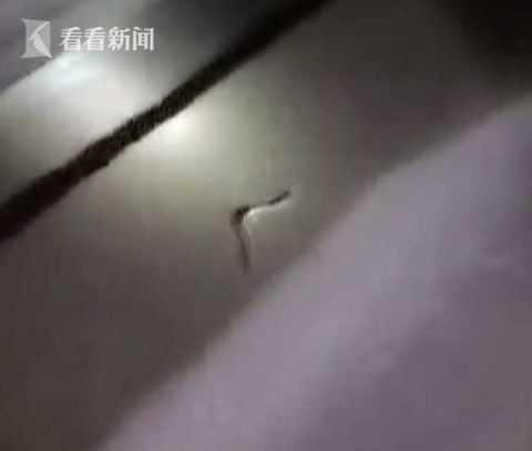 上海大爷70万手表掉进地铁轨道，到底发生了什么？