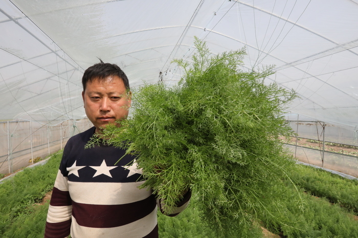 【春耕进行时（四）】章丘区张家林村以现代农业实现精准扶贫有效对接