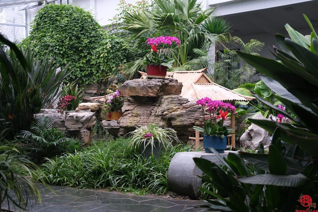 惠享济南文旅 畅游泉城新春济南文旅集团新年系列活动邀请市民游客欢天喜地过大年