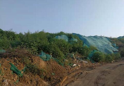 【啄木鸟在行动】京台高速与北园高架路交叉口西南侧部分渣土裸露