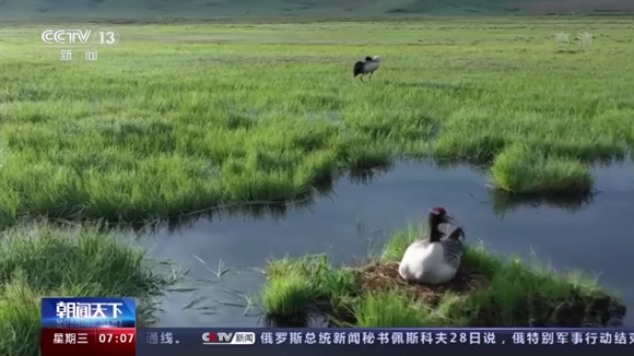 四部委印发《黄河流域生态环境保护规划》