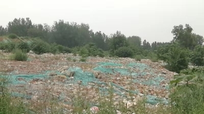 【啄木鸟在行动】长清区滨河路附近建筑垃圾露天堆放