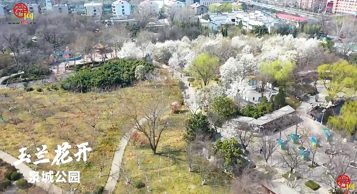 俯瞰济南泉城公园春光醉人