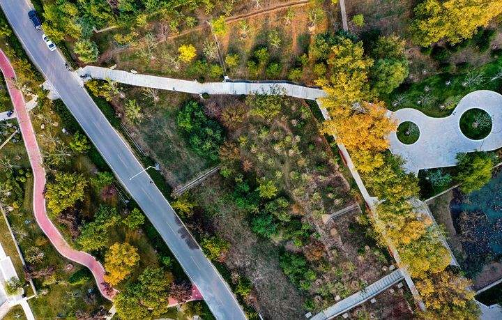 黄河岸边因地制宜强化游憩功能，新增“下沉式”生态公园