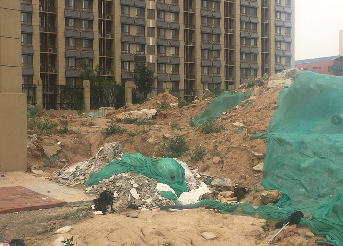 【啄木鸟在行动】清源路与德州路交汇处南侧渣土及建筑垃圾覆盖不全
