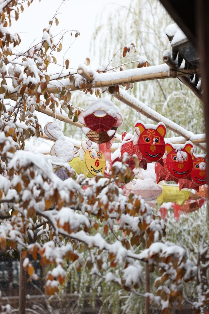 济南迎冬雪，明水古城展现“北国江南”雪景画卷